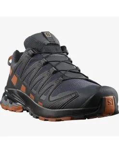 Salomon XA PRO 3D V8 GTX